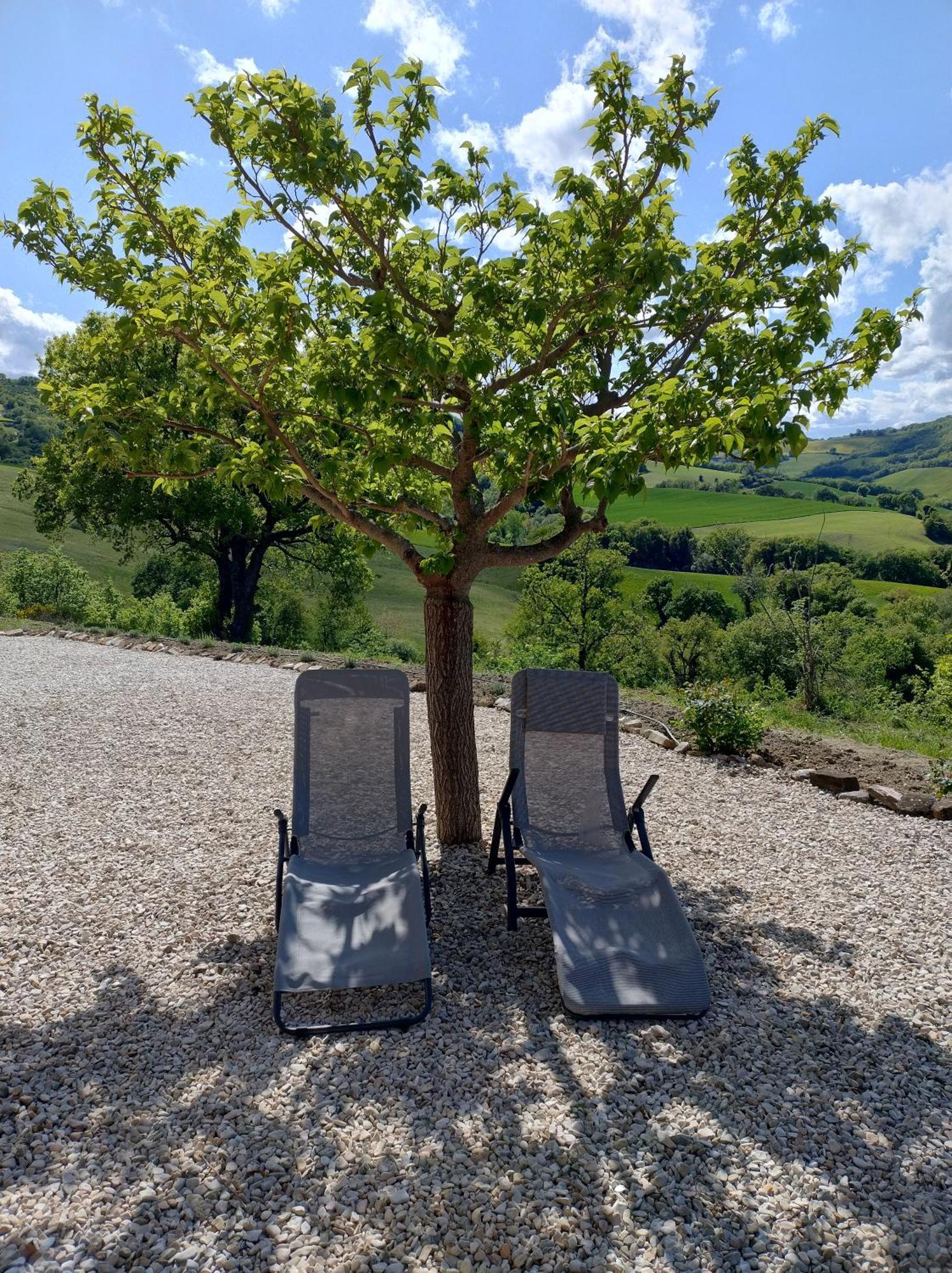 Rosa Nel Pozzo Apartments And B&B San Pietro  外观 照片